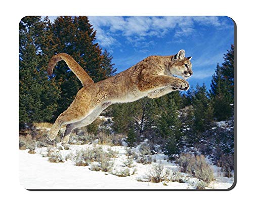 Cougar Jump In The Snow Animal Picture Game Alfombrilla de ratón de Oficina Alfombrillas de Goma Antideslizantes
