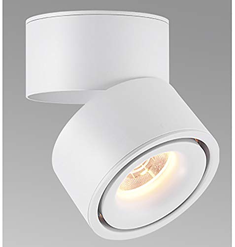 Feoguane 10W foco LED montado en superficie 360 ​​° foco de techo ajustable cocina sala de estar iluminación de tienda, blanco cálido (Blanco 3000K)