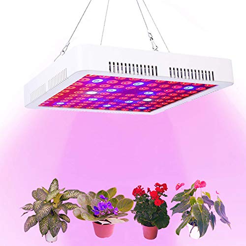 Calistouk 300W/600W/1000W/1200W LED Grow Light Full Spectrum para Plantas de Invernadero hidropónicas de Interior Veg and Bloom (300W)
