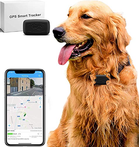 LMHOME Mini GPS localizador de rastreo de perro y gato para mascotas de 28 lb, impermeable, IP67, monitor de actividad en tiempo real, dispositivo de seguimiento de posicionamiento con collar