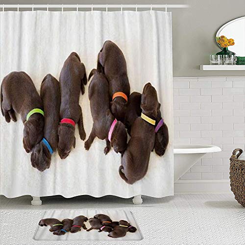 SUDISSKM de alfombras de baño con Cortinas de Ducha Alfombrillas de baño Antideslizantes Impermeables Conjuntos,Cuatro Perros perdigueros de Labrador marrón recién Nacidos