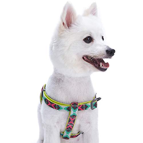 Blueberry Pet Step-in Extravagant Green Vintage Tribal Pattern Neoprene Padded Dog Harness, Small