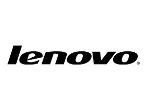 Lenovo 4XB0F28695 ThinkServer RAID 720i - Actualización de memoria DRAM modular (1 GB)