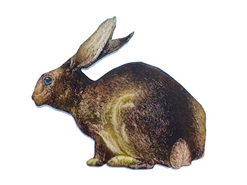Miniblings Hare LaserPrint LC Broche Pin Bosque de Madera de la Caza de Fauna Silvestre