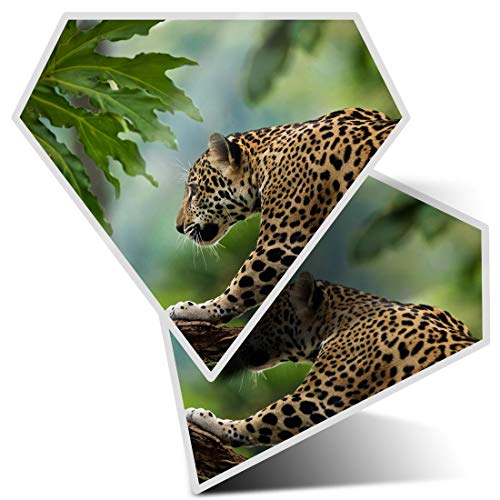 2 pegatinas de diamante de 7,5 cm – Wild Leopard Jungle Cat Fun calcomanías para ordenadores portátiles, tabletas, equipaje, chatarra de reservas, neveras, regalo fresco #14799