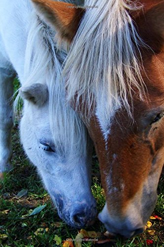 Miniature Mother Horse and Baby Foal in a Pasture Journal: 150 Page Lined Notebook/Diary
