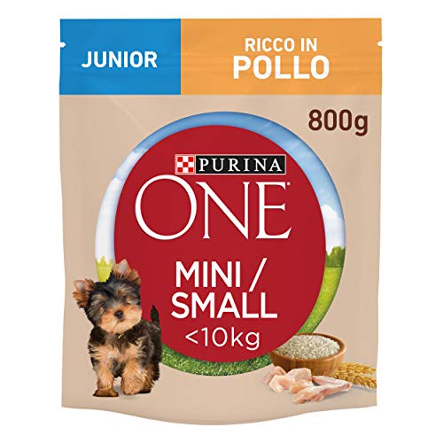 Purina One Mini croquetas para Perro Junior Rico en Pollo, con arroz, para Perros de hasta 10 kg, 8 Bolsas de 800 g Cada una.