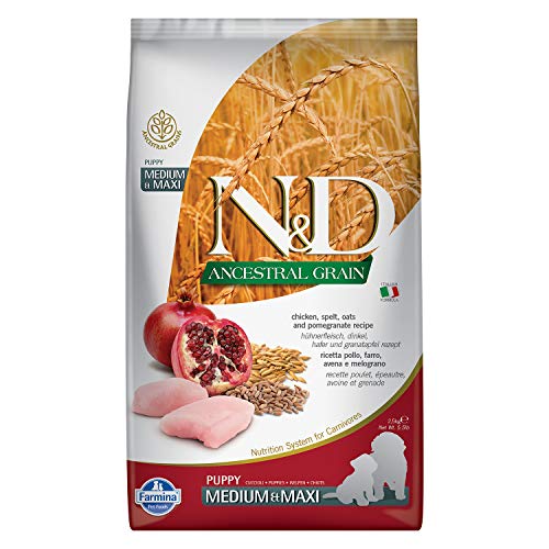 N&d low grain N&D Low Grain Puppy con Pollo y Granada seco Perro 2,5 kg Multicolor, Única 2500 Unidades