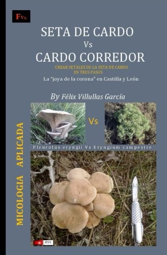 Seta de Cardo Vs Cardo Corredor: black and white. Crear "setales" de la seta de cardo en su habitat natural. La "joya de la corona" en Castilla y Leon