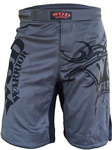 WOD WARRIOR - Pantalones cortos WW 3.0 (gris, 40)
