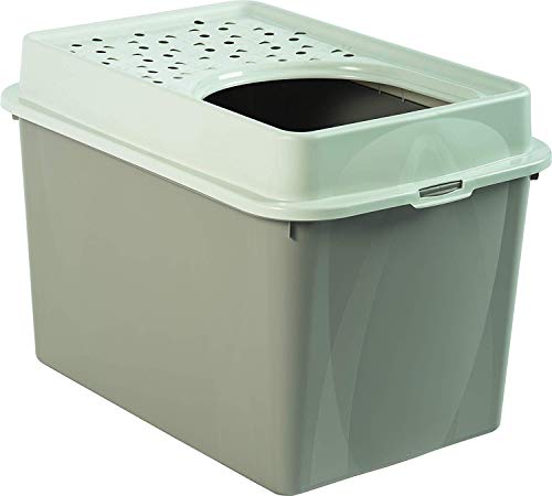 Rotho Berty, caja de arena alta con entrada superior, Plástico PP sin BPA, capuchino, 57.2 x 39.3 x 40.4 cm