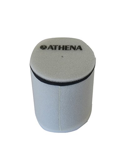 Athena S410510200032 Filtro de Aire