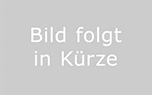 Juego de carburador Bing, 20 mm, filtro de aire deportivo para Zündapp, Hercules, Kreidler Puch