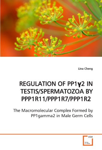 REGULATION OF PP1¿2 IN TESTIS/SPERMATOZOA BY PPP1R11/PPP1R7/PPP1R2: The Macromolecular Complex Formed by PP1gamma2 in Male Germ Cells