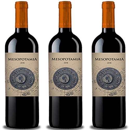 Vino tinto MESOPOTAMIA Roble 2018 (3 bot x 75 cl.) - 100% Tinta de Toro - Mejor vino de Toro roble de Abadia de Aribayos Vinos y Cervezas