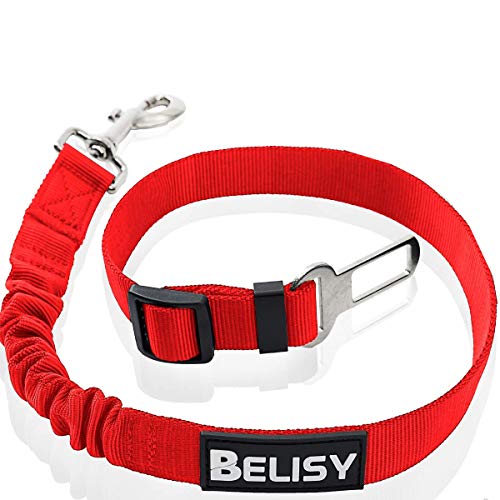 BELISY Correa Perro Coche en Nylon Elástico Ajustable – Cinturon Perro/Gato Coche – Correa Ajustable (60-80cm) para la Máxima Comodidad – Perros Grandes y Pequeños - Rojo