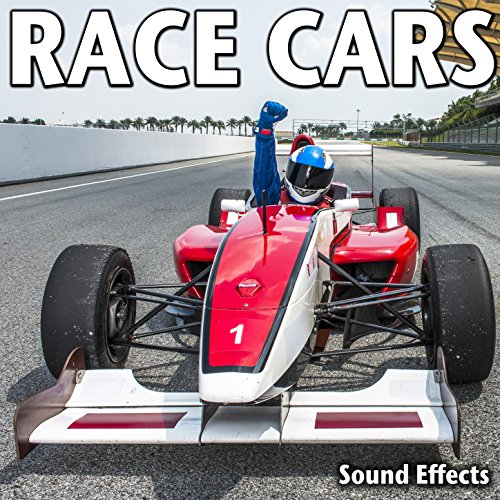 Rotax Kart Racing Race Ambience (Version 2)