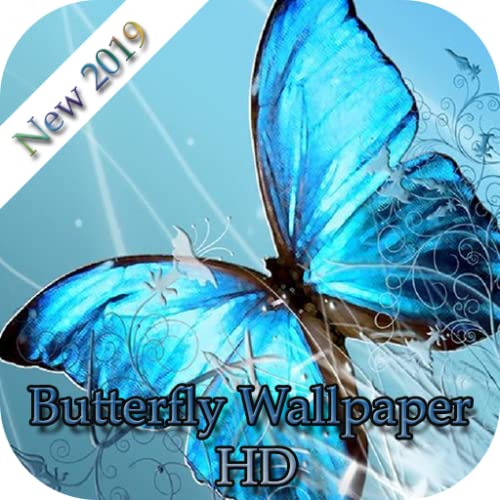 Butterfly Wallpaper Hd 2019