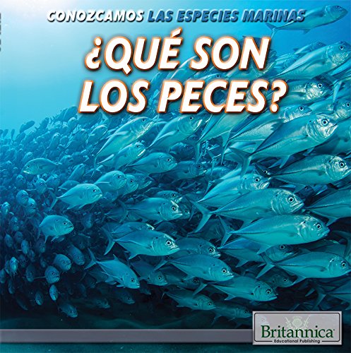 Qué son los peces?/ What Are Fish? (Conozcamos las especies marinas/ Let's Find Out! Marine Life)