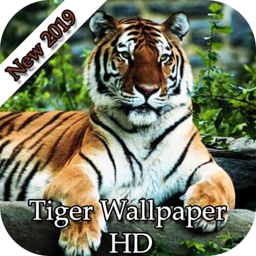 Tiger Wallpaper HD 2019