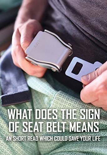 What Does The Sign Of Seat Belt Means: An Short Read Which Could Save Your Life: Commercial Aviation Books (English Edition)