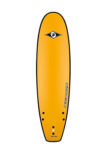 BIC Sport – Surf g-Board Kids EVO 6' 0 100770