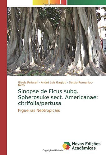 Sinopse de Ficus subg. Spherosuke sect. Americanae: citrifolia/pertusa: Figueiras Neotropicais