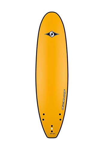 Surf Evo BIC 2015 - Surf 7'0 pulgadas