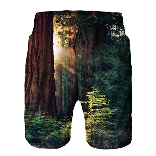 Pantalones Cortos De Playa para Hombres,temprano en la mañana la luz del Sol Sequoias Mariposa Grove,Pantalones De Chándal De Secado Rápido, Bañador De Verano para Ejercicios Al Aire Libre 4XL
