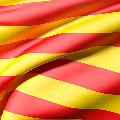 Oedim Bandera de La Comunidad de Catalunya 85x150cm | Reforzada y con Pespuntes| Bandera de La Comunidad de Catalunya con 2 Ojales Metálicos