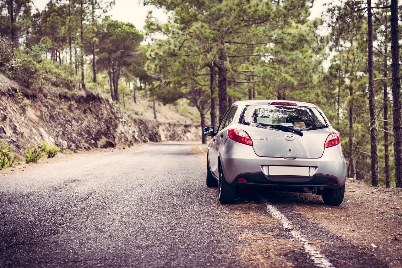 ¿Qué marca de motor lleva Mazda?