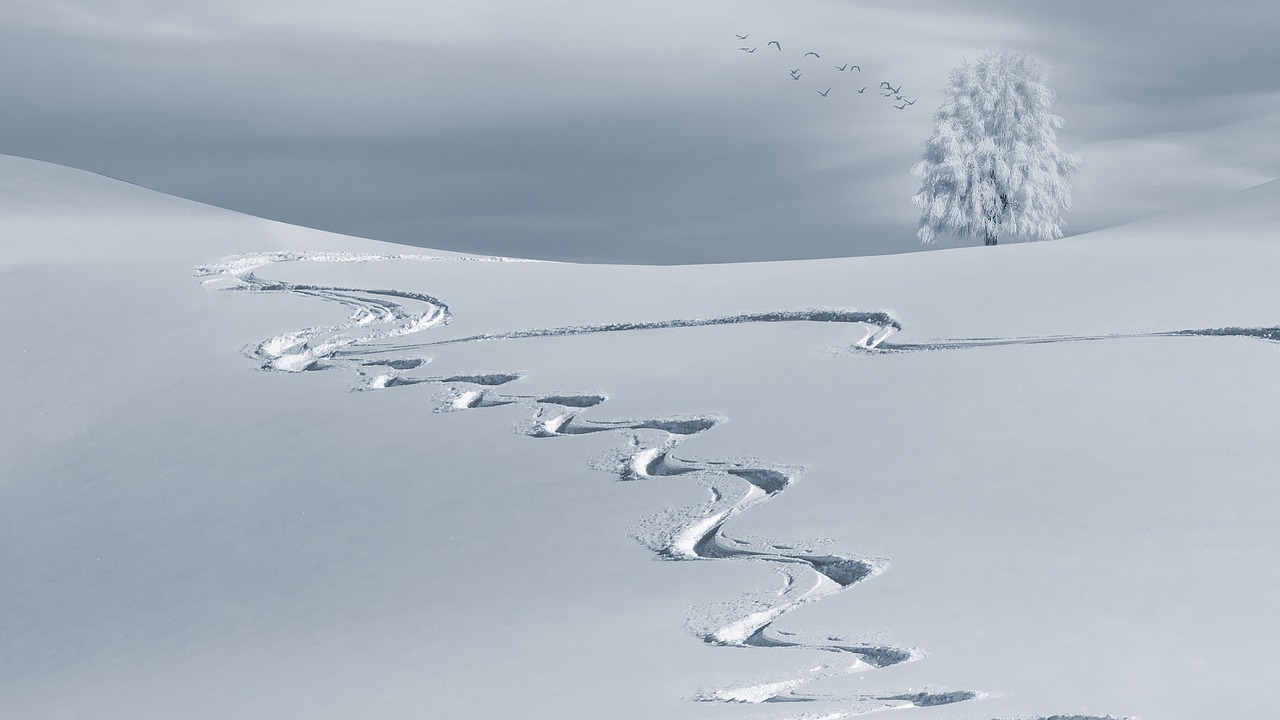 ¿Qué son las cubiertas de nieve?