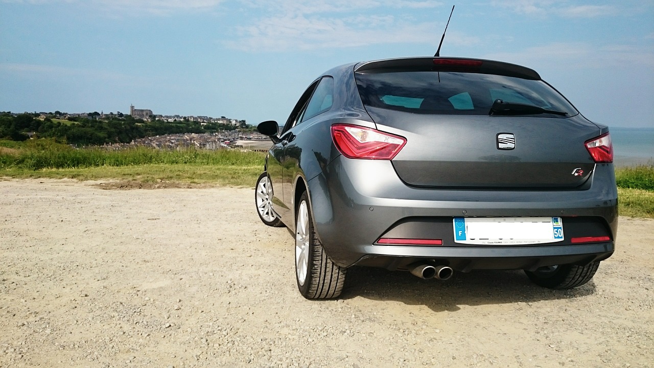 ¿Qué motor lleva un SEAT Ibiza 2002?