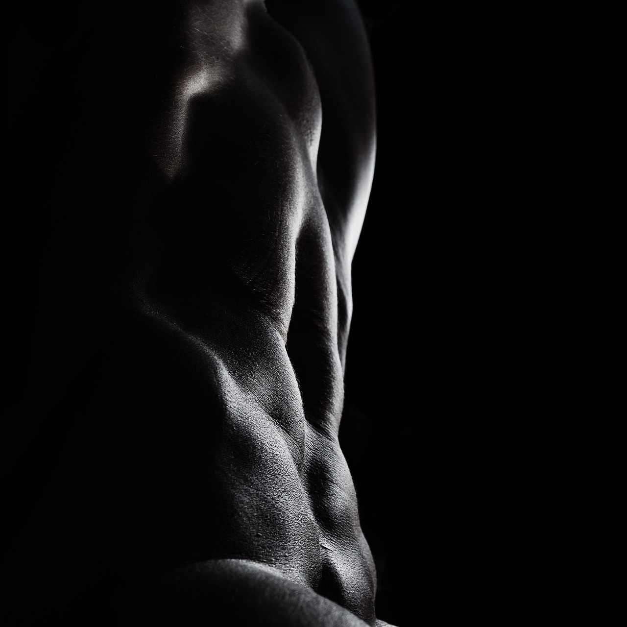 ¿Qué pasa cuando el ABS está dañado?