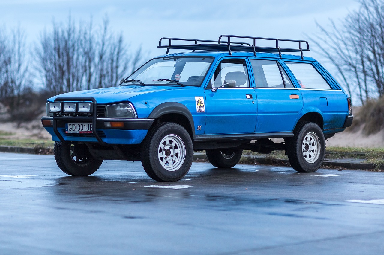 ¿Qué motor tiene la Peugeot 504?