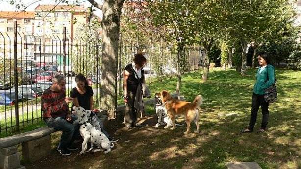 perros al parque