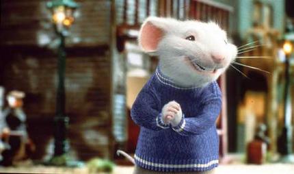 Ropa para mascotas, ¡viste a tu mejor amigo! Ropa para mascotas, ¡viste a tu mejor amigo!