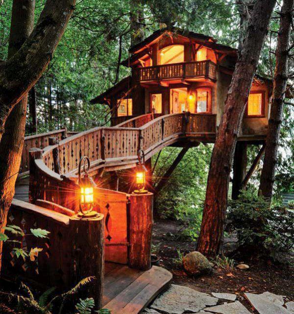 casa sobre un árbol