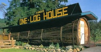 casa con forma de tronco