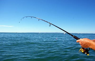 una caña de pesca