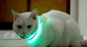 El collar led para mascotas