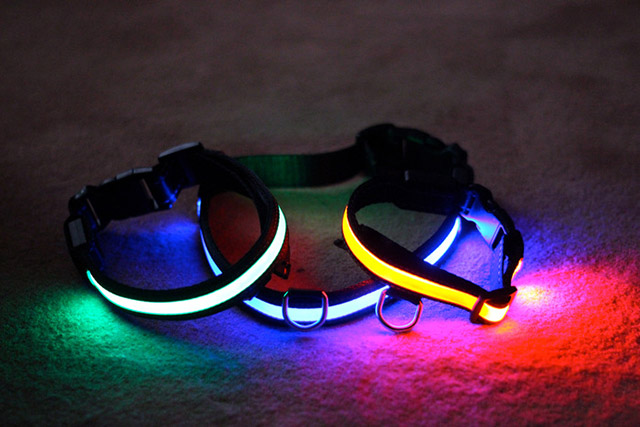 el collar led para mascotas en varios colores