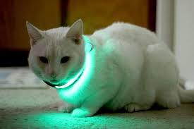 El collar led para mascotas El collar led para mascotas