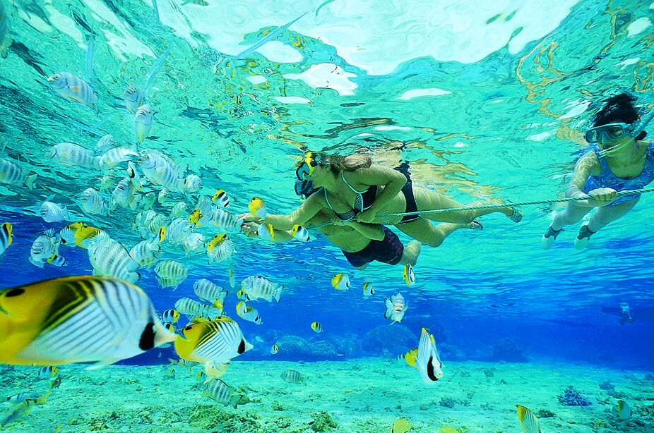 una sugestiva imágen del snorkel