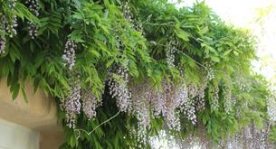 Cómo decorar el jardín esta primavera