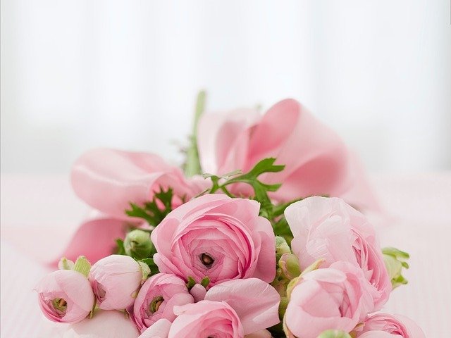 Las mejores floristerias de España Las mejores floristerias de España