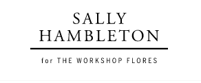 sally hambleton