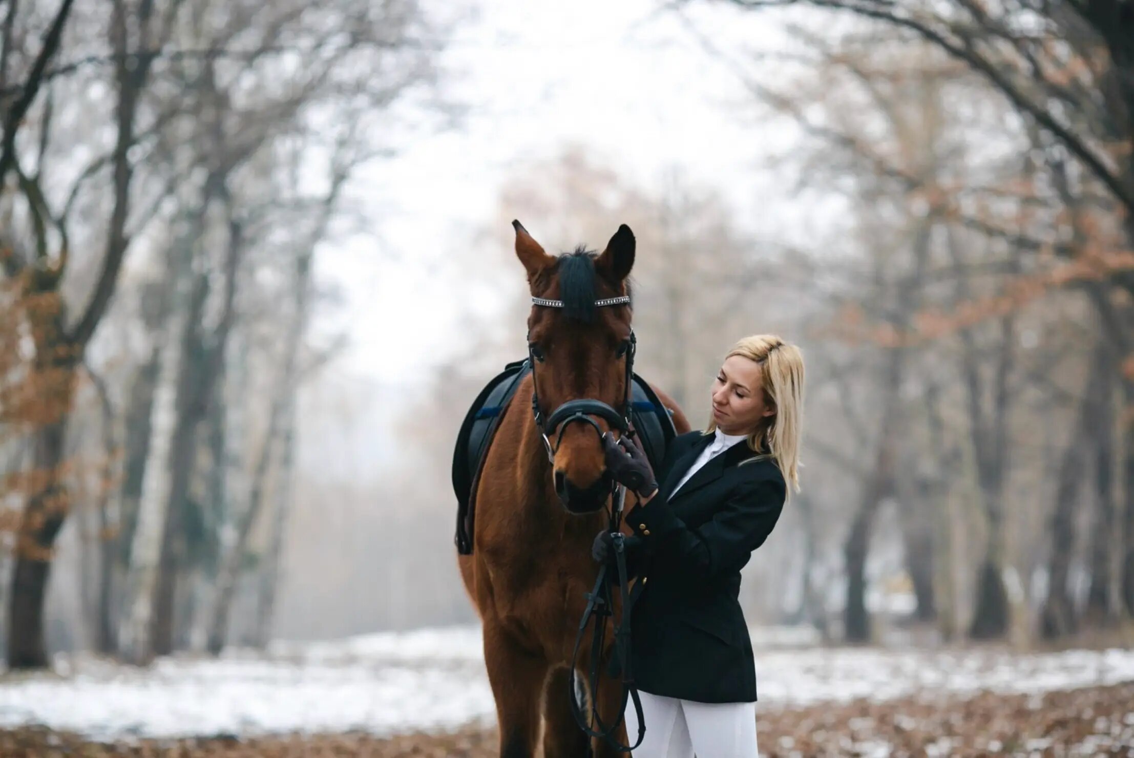 ¿Qué cuidados se recomiendan tener con el caballo durante la época invernal?