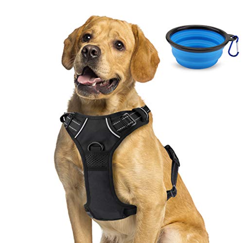 Arnés Antitirones Perro Transpirable, Arnés Perro Grande Mediano con Control de Manija y con Lineas Reflectantes - Arnés Pecho Perro Duradero con Chaleco Acolchado Ajustable + Tazón Plegable Azul Arnés Antitirones Perro Transpirable, Arnés Perro Grande Mediano con Control de Manija y con Lineas Reflectantes - Arnés Pecho Perro Duradero con Chaleco Acolchado Ajustable + Tazón Plegable Azul