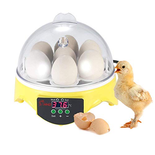 Chidi Toy ncubadora de Huevos, Incubadora Manual de Huevos, Iluminación de Alta eficiencia y función de Giro automático de Huevos, para Huevos, Huevos de Pato, Huevos de Fuego, etc.